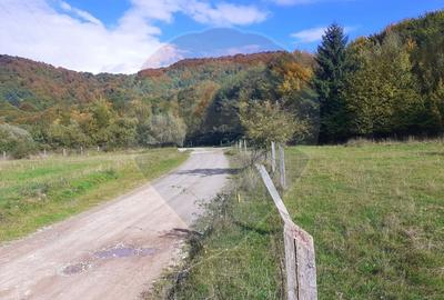 Teren agricol extravilan de 1100 mp, în Glăjărie - 2