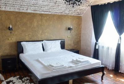 Complex Comercial de Lux 3 Vile, Salon Evenimente ?i 2 Piscine - 2