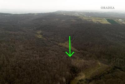 RECO . Teren extravilan . Saldabagiu de munte . - 2