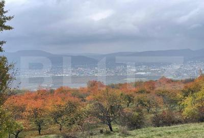 Teren de vanzare Subcetate, zona Livada - 5