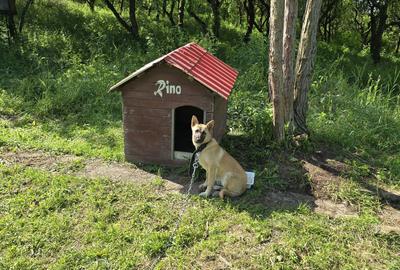 Casă cu 2 camere în Central - 5