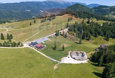 Teren 56599mp Dambovicioara / Soseaua DN 73Dealul sasului! - 7