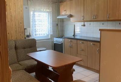 Apartament cu 3 camere semidecomandat în Lugoj - 16