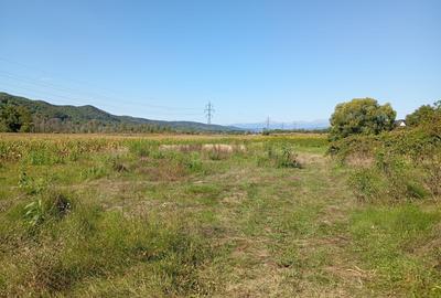 Teren agricol extravilan de 50000 mp, în Mihăești - 3