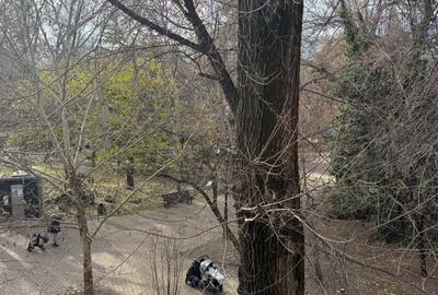 Vila Ion Voicu de vanzare - partial - etaj 1 si mansarda - Parcul Ioanid - 5