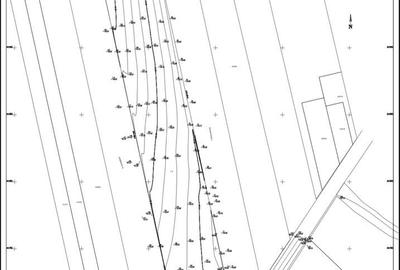 Teren de 15994 mp, în Horlești - 1