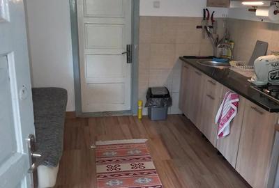 Casă cu 2 camere în Cosminele