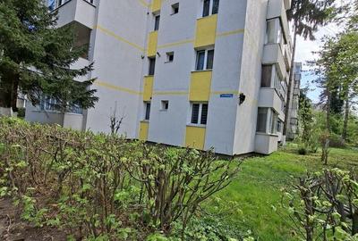 Apartament cu 2 camere decomandat în Dâmbu Pietros - 1