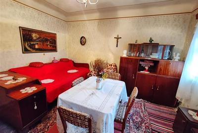 Casa , singur in curte la intrarea in ZIZIN - 8