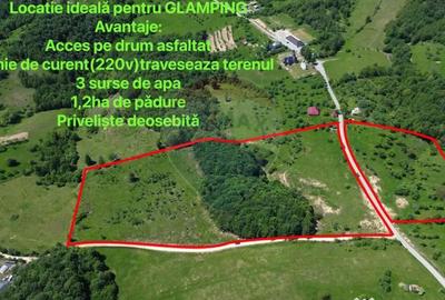 Teren de 55600 mp, în Codru Butesii - 5