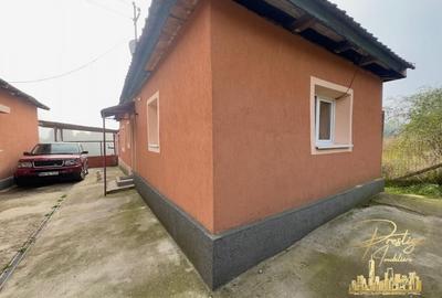 Casa cu anexe si teren de 1000 mp de vanzare in comuna Spinus-Bihor - 17