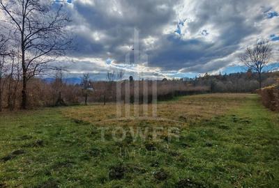 Teren de vanzare în reprezentare exclusivă, situat pe Valea Avrigului! - 4