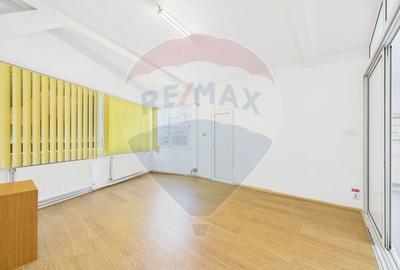Vila P+M de inchiriat  in zona Vatra Luminoasa, comercial sau birouri - 10
