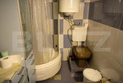 Casă individuală cu 3 camere cu Canalizare în Vest - 17