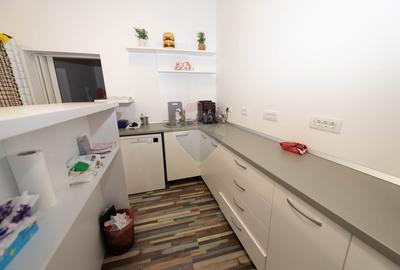 Vila cu curte de inchiriat- sector 1 - 18