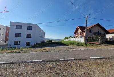 Teren în Criș - 6