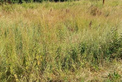 TEREN INTRAVILAN ÎN MARGA-LA DN68 JUD.CARAȘ-SEVERIN - 7