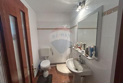 Casa cu teren de vanzare in Busag - 18
