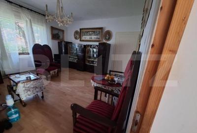 Casa individuala 4 camere, 163 mp si teren 717 mp, Calea - 1