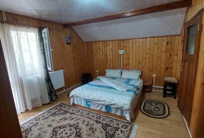 Hotel/Pensiune, de 6 mp, în Lepșa - 15