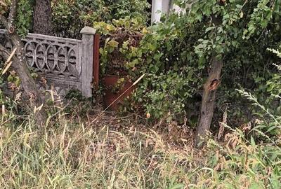 Teren de 4187 mp, în Sinești - 4