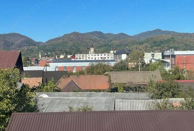 Mihai Eminescu, linga Piata Mare, apartament 1 camera, et.3, lift,garaj sub bloc,300 euro luna - 10