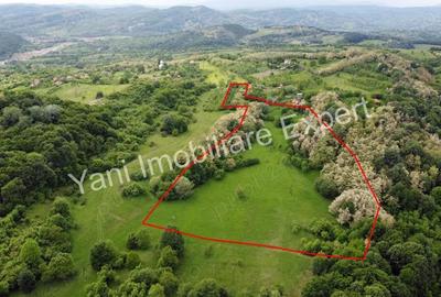 Teren de vanzare, in sat Blaju, comuna Tigveni, Judet Arges. - 3