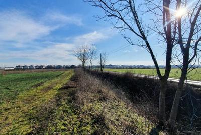 Teren 1000 mp (2 x 500 mp), extravilan, Otopeni Zona Odai Teren 1000 mp (2 x 500 mp), extravilan, Otopeni Zona Odai - 7