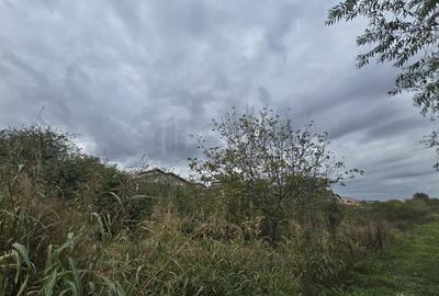 REL4001053 Teren de vanzare Domnesti - 3