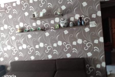 Apartament cu 2 camere decomandat în Nufărul - 4