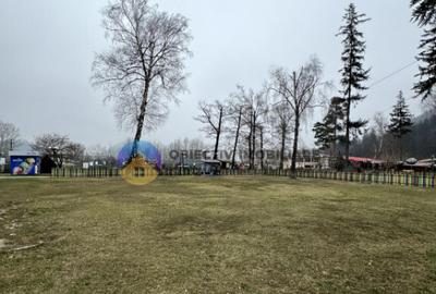 Teren investitie in strand Piatra Neamt Teren investitie in strand Piatra Neamt - 13