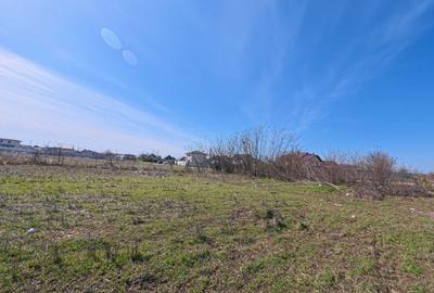 Spațiu comercial, în Berceni - 4