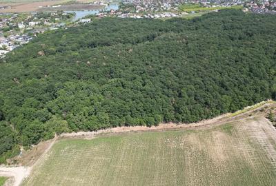 Teren intravilan langa padure Corbeanca Park - 2