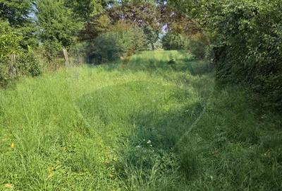 Casă cu 4 camere cu Teren 1105 Mp în Câmpulung la Tisa