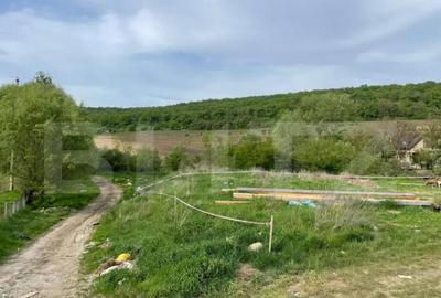 Teren intravilan de vanzare, 2169 mp Str. Remetea, Tar - 1