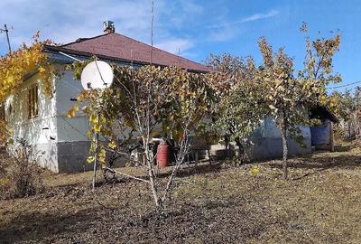 Casă cu 2 camere cu Teren 2650 Mp în Central - 4