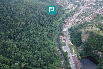 Teren Construcții intravilan de 13861 mp, în Est - 8