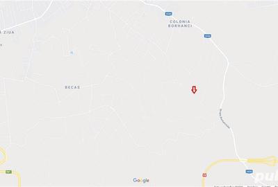 Teren de 4039 mp, în Borhanci - 9
