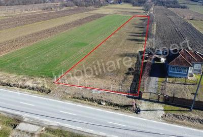 Teren de 3657 mp, în Băiculești - 8