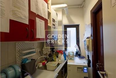 Cotroceni | Pretabila Clinica - Spa | Vila eleganta  | Terasa - 22