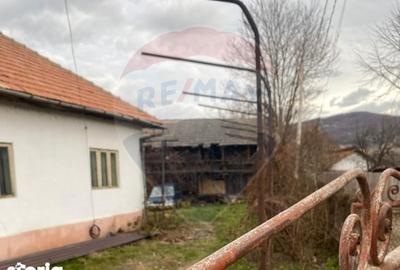 Casă cu 3 camere cu Teren 5000 Mp în Central - 11