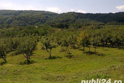 Teren de 4295 mp, în Cetățuia - 4