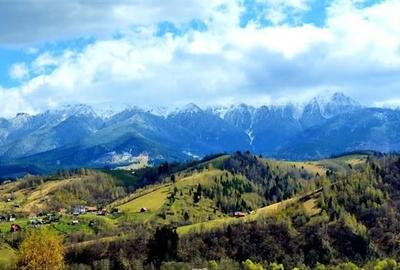 5.000 mp, 2 loturi, aria Castelul Bran, Brasov - 2