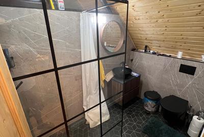Casă cu 4 camere cu Teren 5000 Mp în Pietreni - 6
