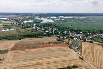 Teren Budeni - Delta Comana - Giurgiu - 6