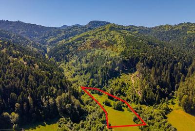 COMISION 0% Teren Bradet 7300 + 6000 mp/ Sacele /Intravilan - 4