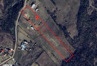 Spațiu comercial, în Tomești - 3