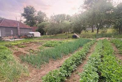 Casă cu Teren 5000 Mp în Răchitova - 4