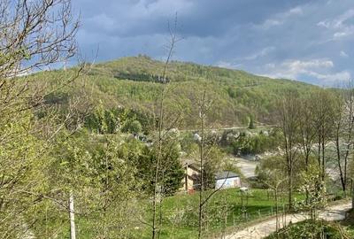 Teren de 1780 mp, în Valea Doftanei - 3