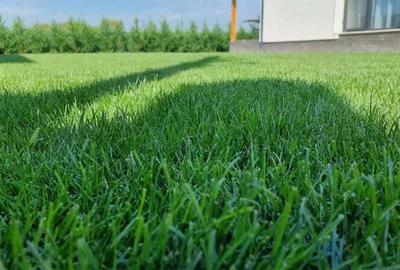 Casa de vanzare in Sintandrei, Locuin?a moderna ?i independenta energetic - 3